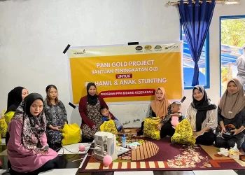 PGP dan Posyandu Bersinergi: Program Peningkatan Gizi Ibu Hamil dan Anak di Desa Hulawa