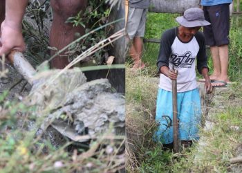 Karang Taruna Kecamatan Paguat Bersama Penambang Rakyat Pohuwato Bersihkan Lumpur Drainase 1 Kilometer