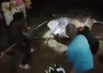 Heboh! Ikan Purba Terdampar di Objek Wisata Tangga 2000 Gorontalo