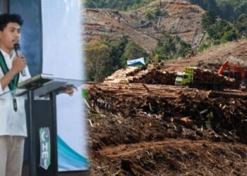 Si Tangan Besi Datang  Merusak Lungkungan: Flora dan Fauna  Menjerit